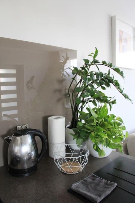 Uroczy, Jasny Apartament Oraz Bezplatny Parking! Διαμέρισμα Krasków Εξωτερικό φωτογραφία
