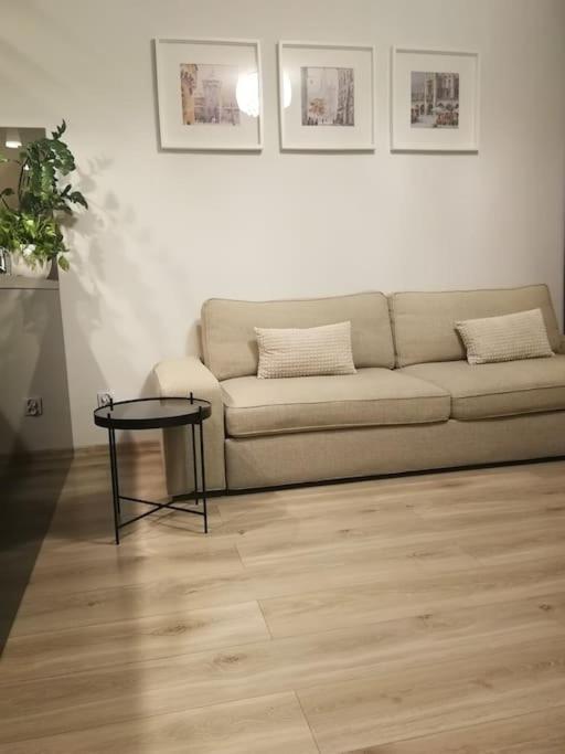 Uroczy, Jasny Apartament Oraz Bezplatny Parking! Διαμέρισμα Krasków Εξωτερικό φωτογραφία